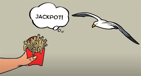 seagull.chips.grab