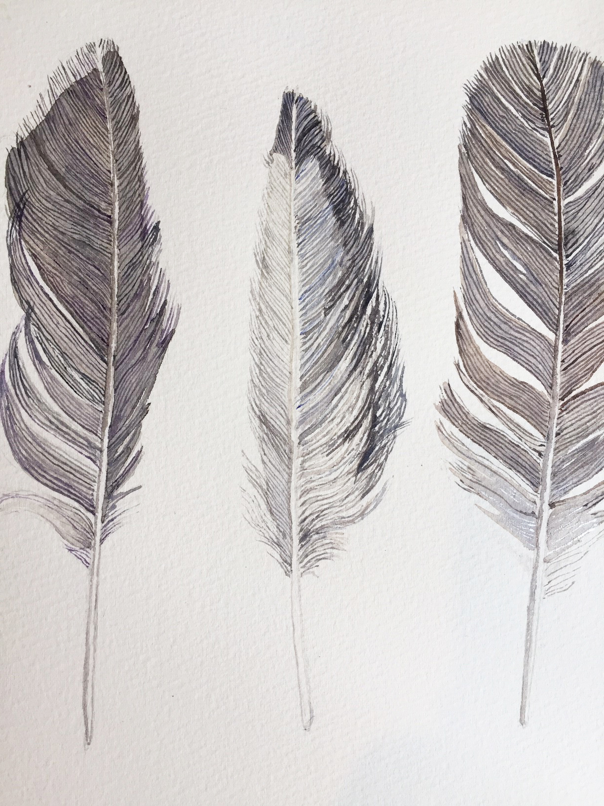 Gabriele Brauer – feathers, 2020,watercolour