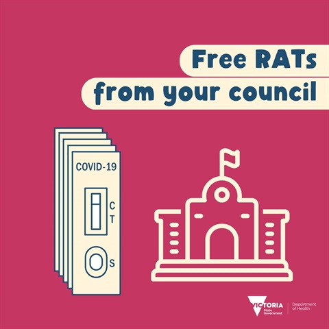 Free rats.jpg