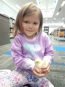Chicks-at-the-Library-Ava.jpg