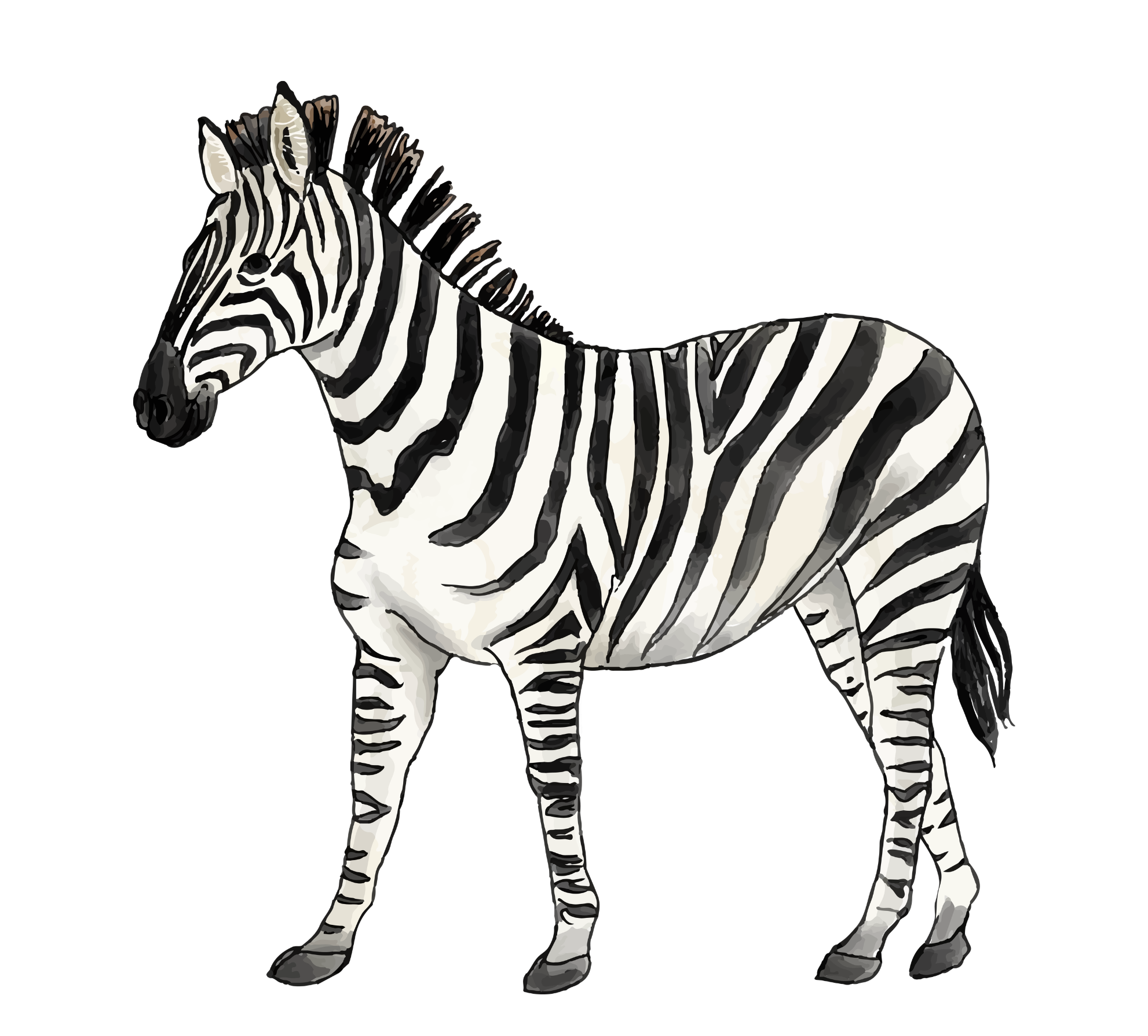 zebra jungle craft.png