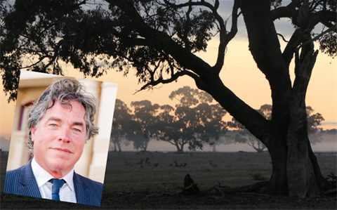 ben.paddocks.july2025.png