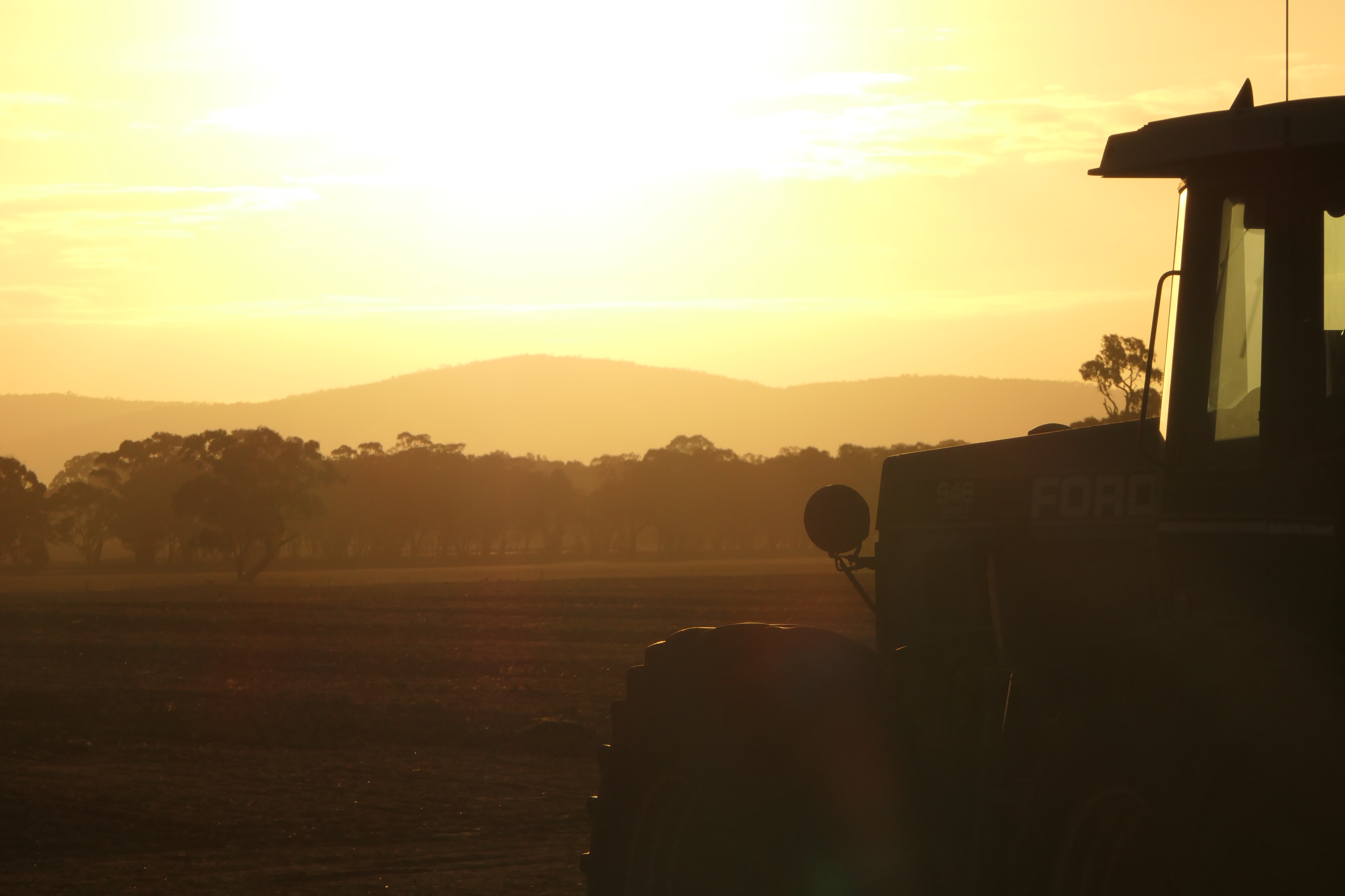 hills.tree.tractor.sunset.pretties.JPG
