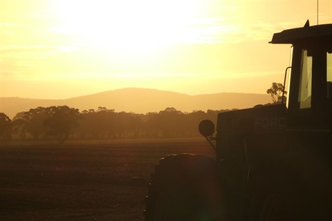hills.tree.tractor.sunset.pretties.JPG