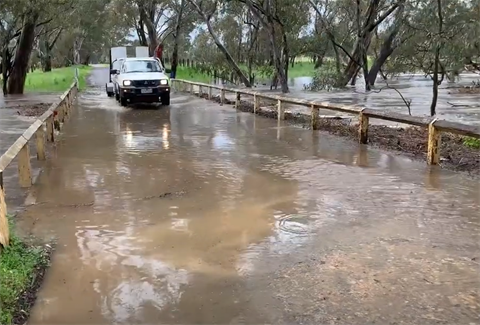 bet.bet.flood.youtube.horsingabout.png