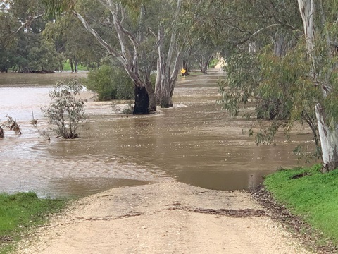 Flood 6.jpg
