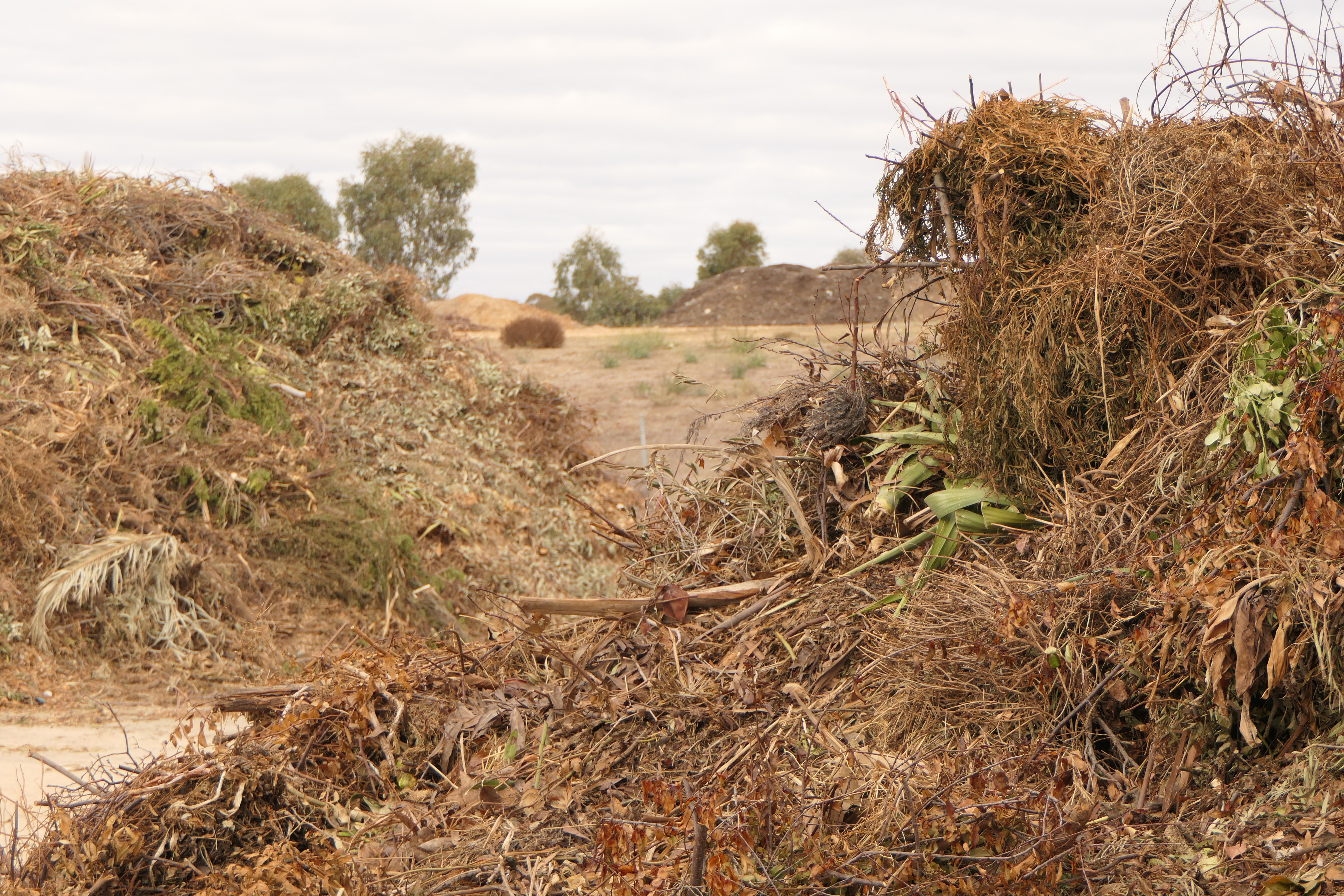 Free green waste .jpg