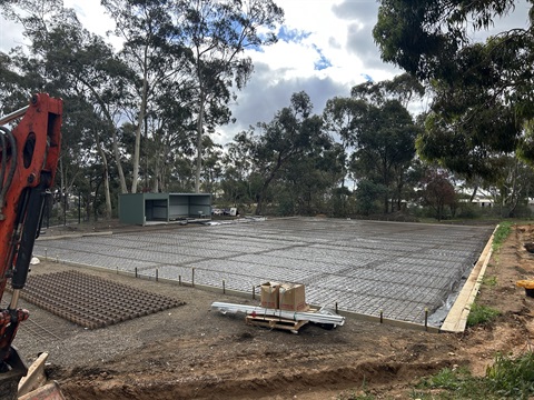 Hedges Oval .jpeg