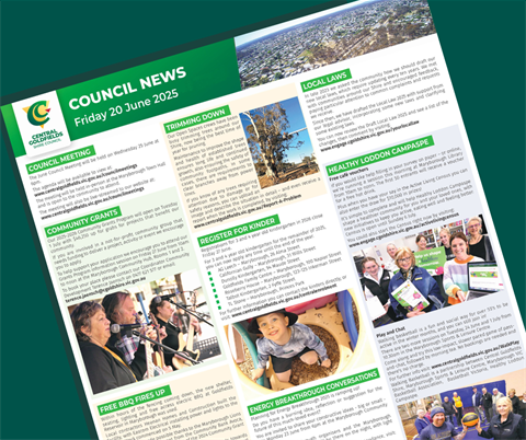 council.news.20jun.2025_TILE.png