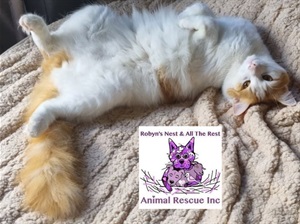 robyns.nest.grab.logo.jpg