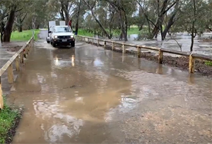 bet.bet.flood.youtube.horsingabout.png