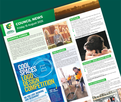 council.news.15aug.2025_TILE.png
