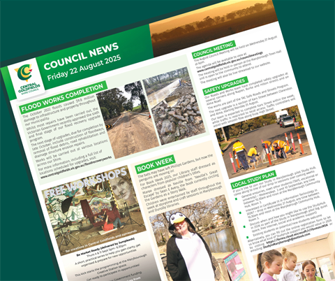 council.news.22aug.2025_TILE.png