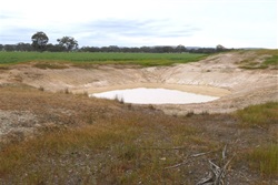 green.drought.JPG