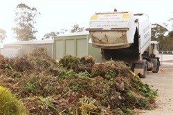 P1240556.carisbrook.transfer.green.waste.truck.JPG