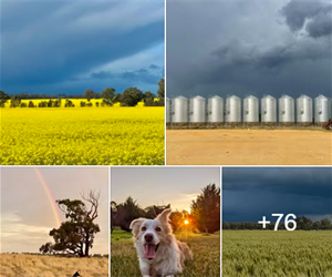 facebook.photo.comp.proudly.png