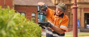 managing.risk.trimming.trees.jpg