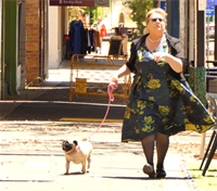 patsy.on.path_GRAB.png
