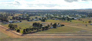 carisbrook.levee.ws.town.png