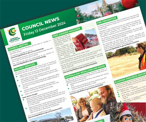 council.news.13dec2024_TILE.elf.png