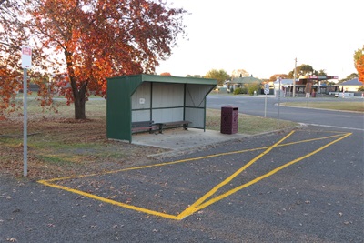bus.stop.carisbrook.jpg