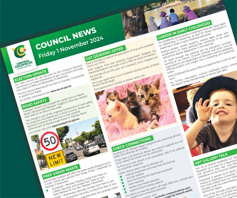 council.news.1nov2024_TILE.png