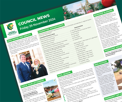 council.news.29nov2024_TILE_1.png