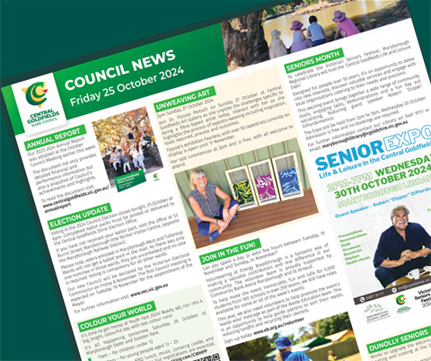 council.news.25oct2024_TILE.png