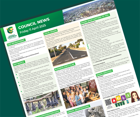 council.news.11apr.2025_TILE.png