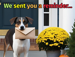 animal.registrations.reminders.png