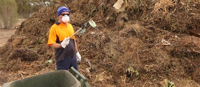 green.waste.pluck.rubbish.jpg