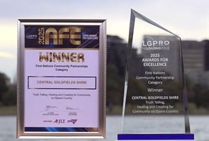 award-composite1.jpg