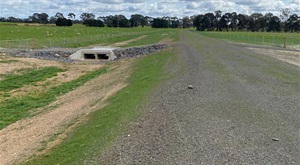 carisbrook.levee.GRAB.jpg