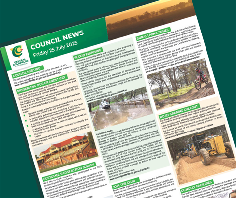 council.news.25Jul.2025_TILE.png