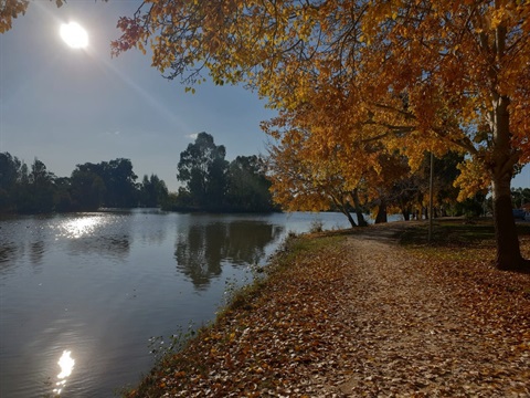 Lake Victoria walking track Maryborough
